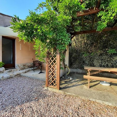 Le lodge des chênes Brousses-et-Villaret Exterior foto