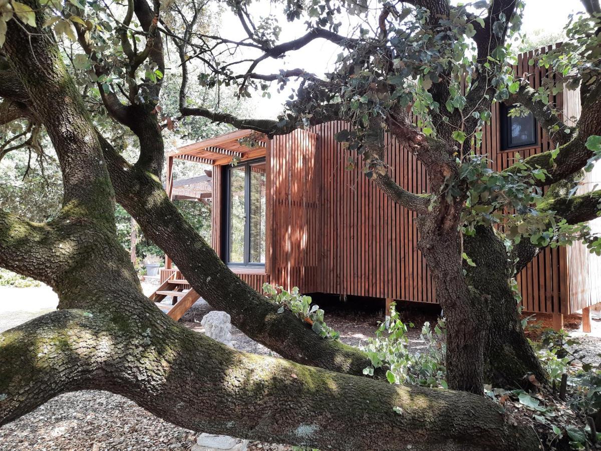Le lodge des chênes Brousses-et-Villaret Exterior foto