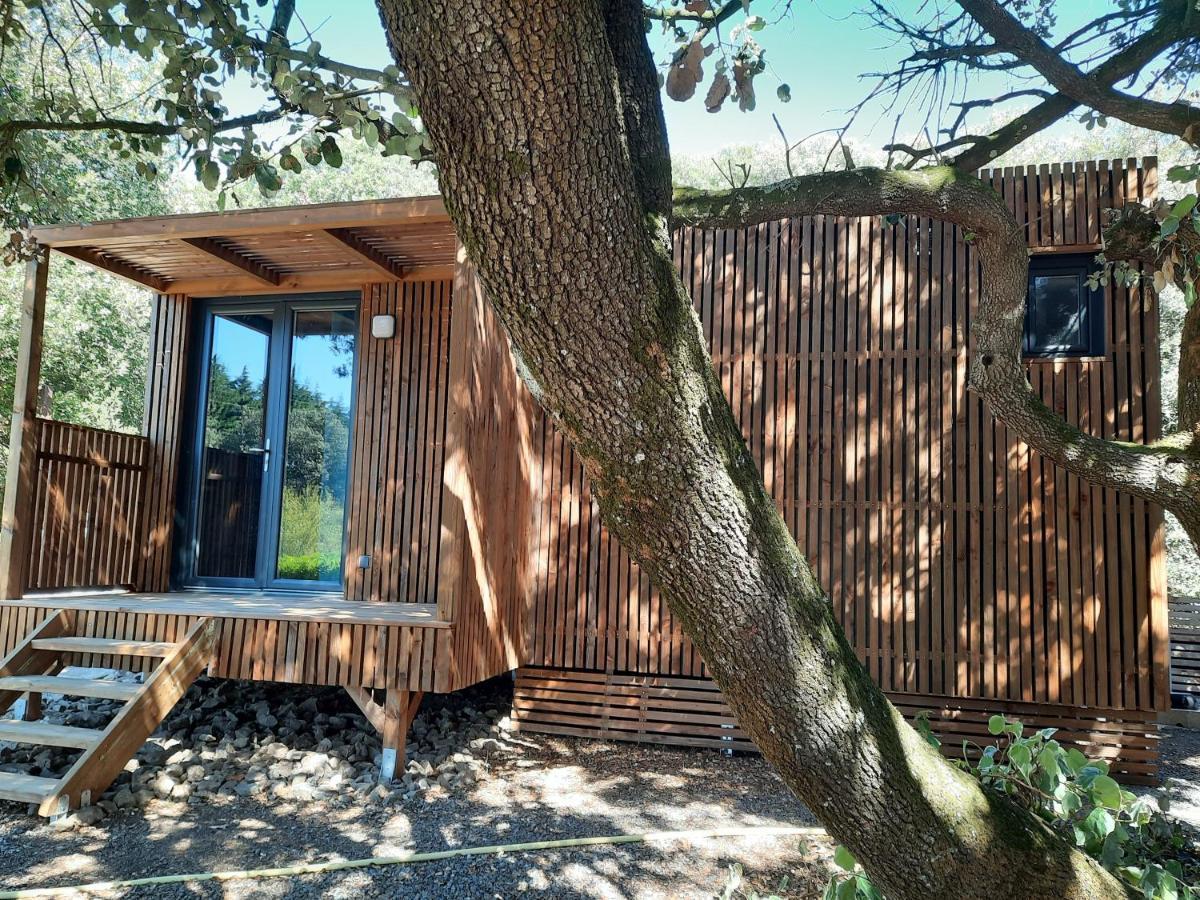 Le lodge des chênes Brousses-et-Villaret Exterior foto