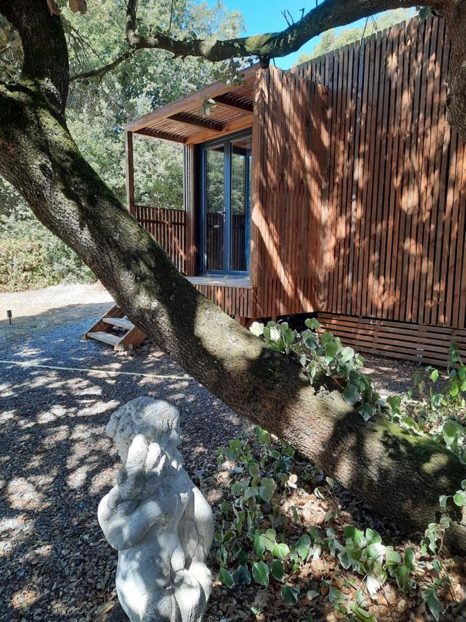 Le lodge des chênes Brousses-et-Villaret Exterior foto