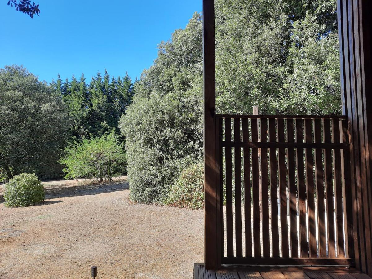 Le lodge des chênes Brousses-et-Villaret Exterior foto