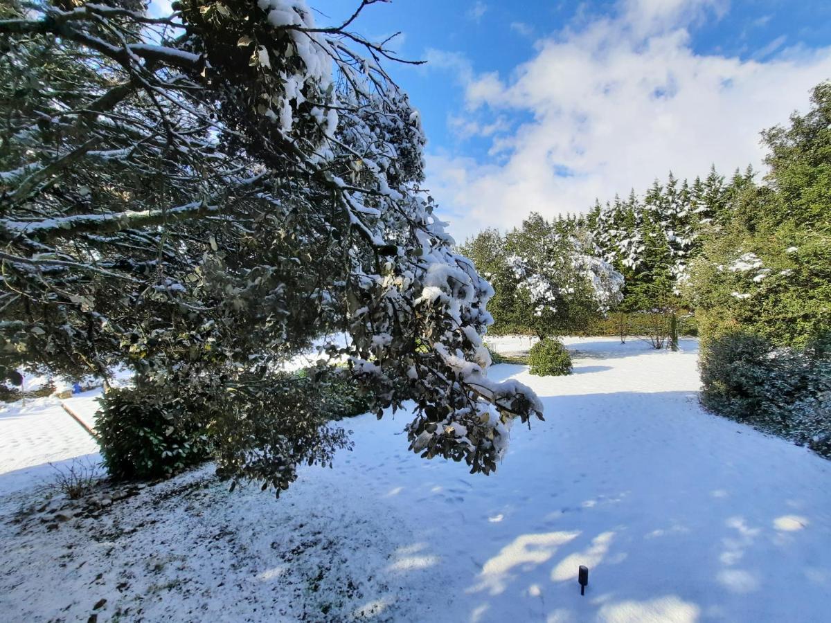 Le lodge des chênes Brousses-et-Villaret Exterior foto